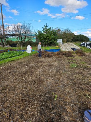 박순자님의 기타작물 · 영농일지 작성글 사진