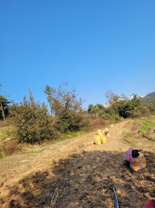 이름유순옥님의 기타작물 · 영농일지 작성글 사진