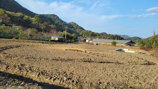 김홍중님의 기타작물 · 영농일지 작성글 사진