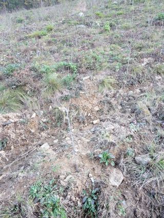 서성환님의 기타작물 · 영농일지 작성글 사진