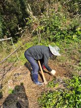 팜모닝 기타작물·영농일지 게시글 이미지