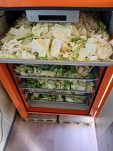 팜모닝 양배추·영농일지 게시글 이미지