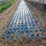 팜모닝 마늘·영농일지 게시글 이미지