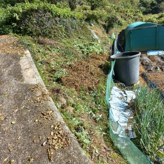 김건우님의 기타작물 · 영농일지 작성글 사진