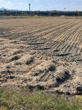 김창호 님의 벼 · 영농일지 작성글 사진