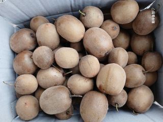 화우농원님의 기타작물 · 영농일지 작성글 사진