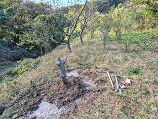 이준영님의 기타작물 · 영농일지 작성글 사진