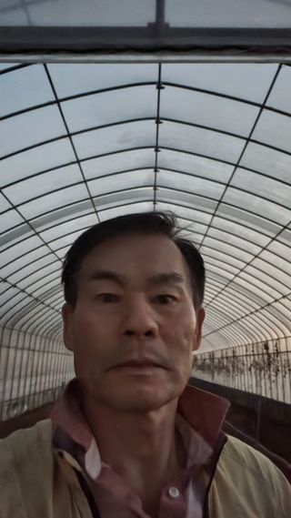 딸기16137님의 기타작물 · 영농일지 작성글 사진