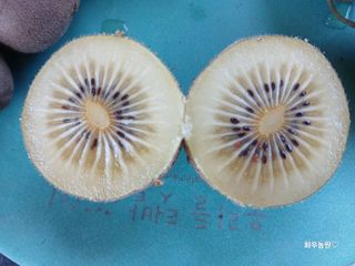 화우농원님의 기타작물 · 영농일지 작성글 사진