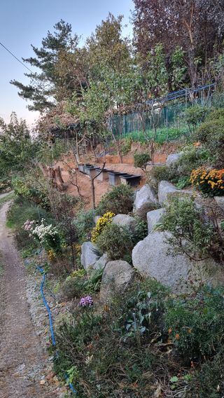 권혁렬님의 기타작물 · 영농일지 작성글 사진