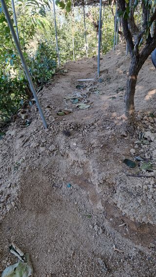 권혁렬님의 기타작물 · 영농일지 작성글 사진