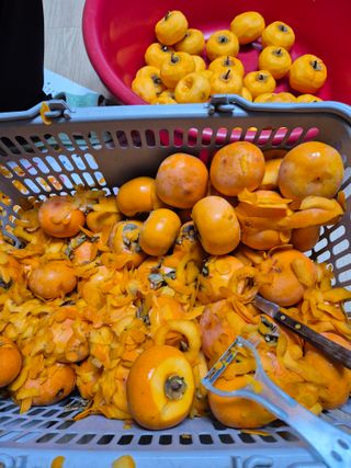 참깨10143님의 기타작물 · 영농일지 작성글 사진