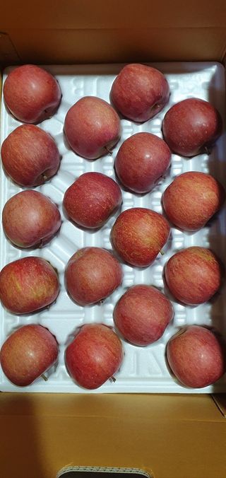 산꼭대기사과밭님의 기타작물 · 영농일지 작성글 사진