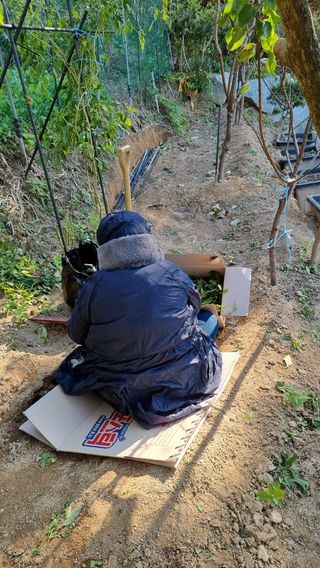 권혁렬님의 기타작물 · 영농일지 작성글 사진