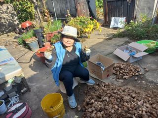 박순례님의 기타작물 · 영농일지 작성글 사진