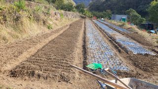 홍광희님의 기타작물 · 영농일지 작성글 사진