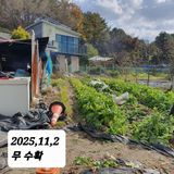 팜모닝 기타작물·영농일지 게시글 이미지