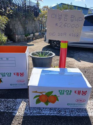 최영묵님의 감 · 영농일지 작성글 사진