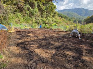 조희빈님의 감자 · 영농일지 작성글 사진