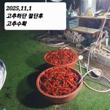 팜모닝 고추·영농일지 게시글 이미지