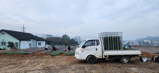 조성현님의 양파 · 영농일지 작성글 사진