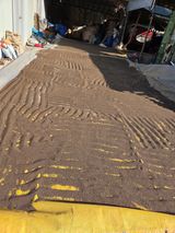 팜모닝 들깨·영농일지 게시글 이미지