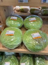 팜모닝 양배추·영농일지 게시글 이미지