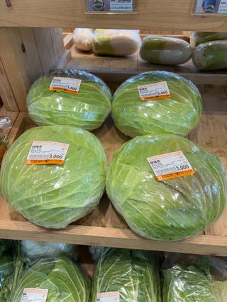 김영완님의 양배추 · 영농일지 작성글 사진