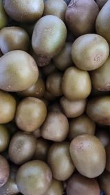 팜모닝 기타작물·영농일지 게시글 이미지