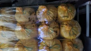 심지님의 기타작물 · 영농일지 작성글 사진