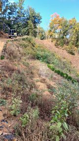 팜모닝 기타작물·영농일지 게시글 이미지