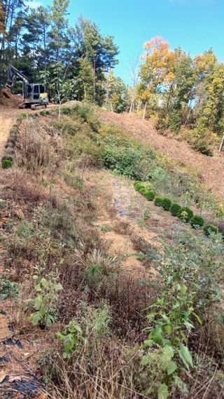 박준권님의 기타작물 · 영농일지 작성글 사진