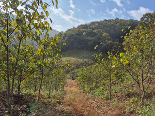 엉뚱님의 기타작물 · 영농일지 작성글 사진