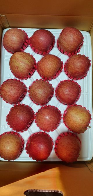 산꼭대기사과밭님의 기타작물 · 영농일지 작성글 사진