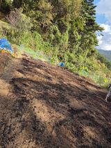 팜모닝 감자·영농일지 게시글 이미지