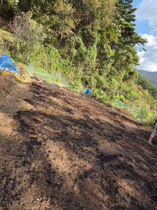 조희빈님의 감자 · 영농일지 작성글 사진