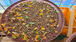 심기정님의 기타작물 · 영농일지 작성글 사진