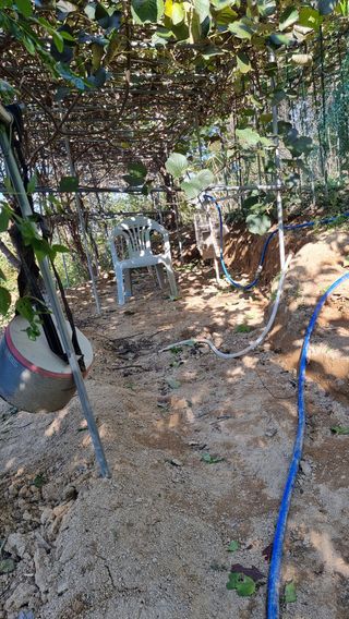 권혁렬님의 기타작물 · 영농일지 작성글 사진