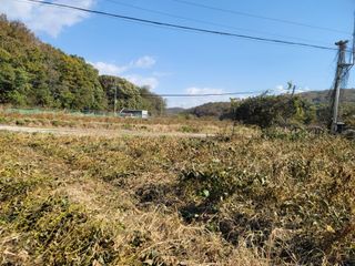 신승철님의 기타작물 · 영농일지 작성글 사진