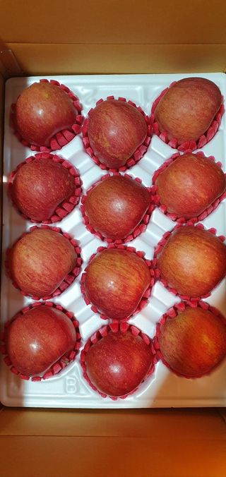 산꼭대기사과밭님의 기타작물 · 영농일지 작성글 사진