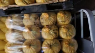 심지님의 기타작물 · 영농일지 작성글 사진