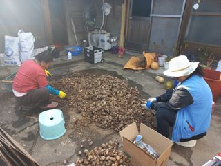 박순례님의 기타작물 · 영농일지 작성글 사진