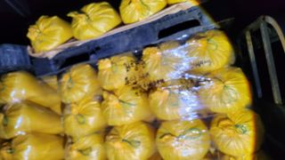 심지님의 기타작물 · 영농일지 작성글 사진