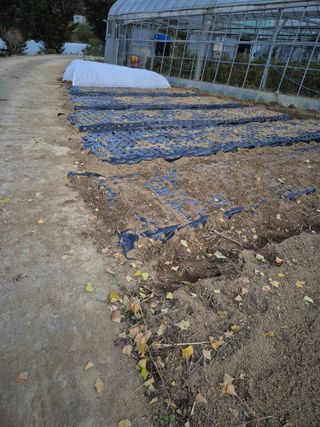 노나라138님의 기타작물 · 영농일지 작성글 사진