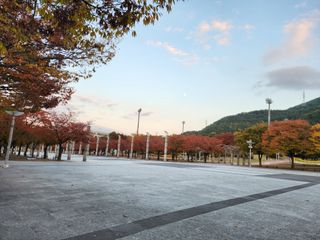 꿀복이농장님의 감 · 영농일지 작성글 사진