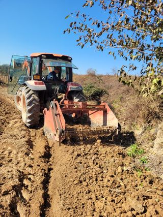 이름유순옥님의 기타작물 · 영농일지 작성글 사진
