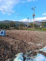 팜모닝 기타작물·영농일지 게시글 이미지