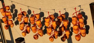 산솔바람님의 감 · 영농일지 작성글 사진