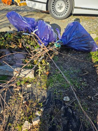 행운아님의 복숭아 · 영농일지 작성글 사진