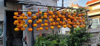 신영식님의 기타작물 · 영농일지 작성글 사진